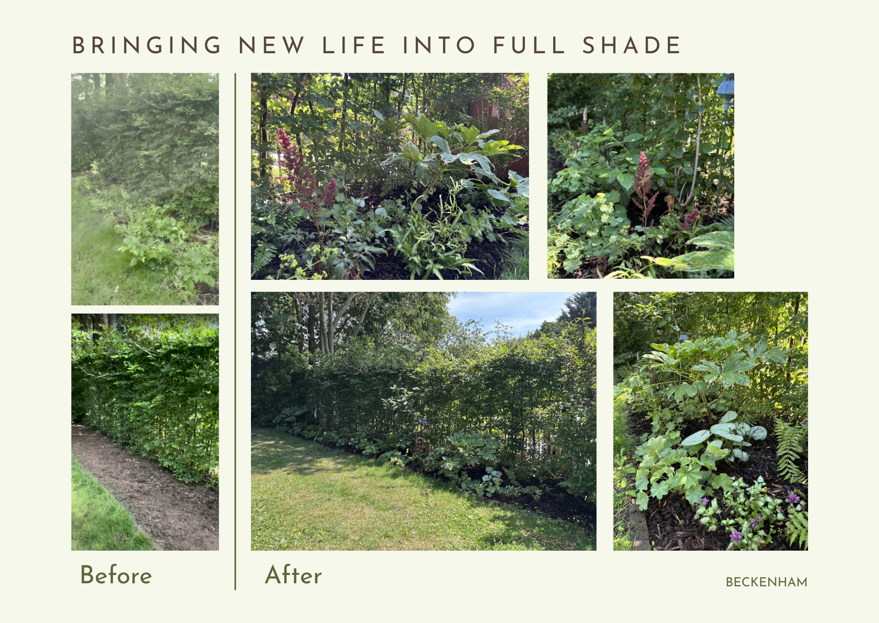 Bringing new life into full shade — a Beckenham garden transformation